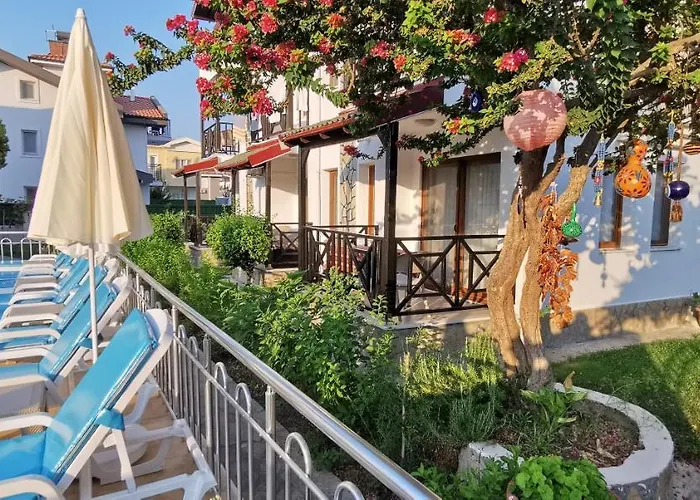 Loya داليان