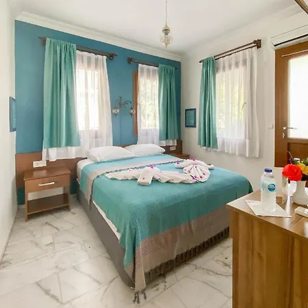 Hotel Loya *