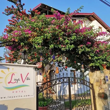 Hotel Loya *